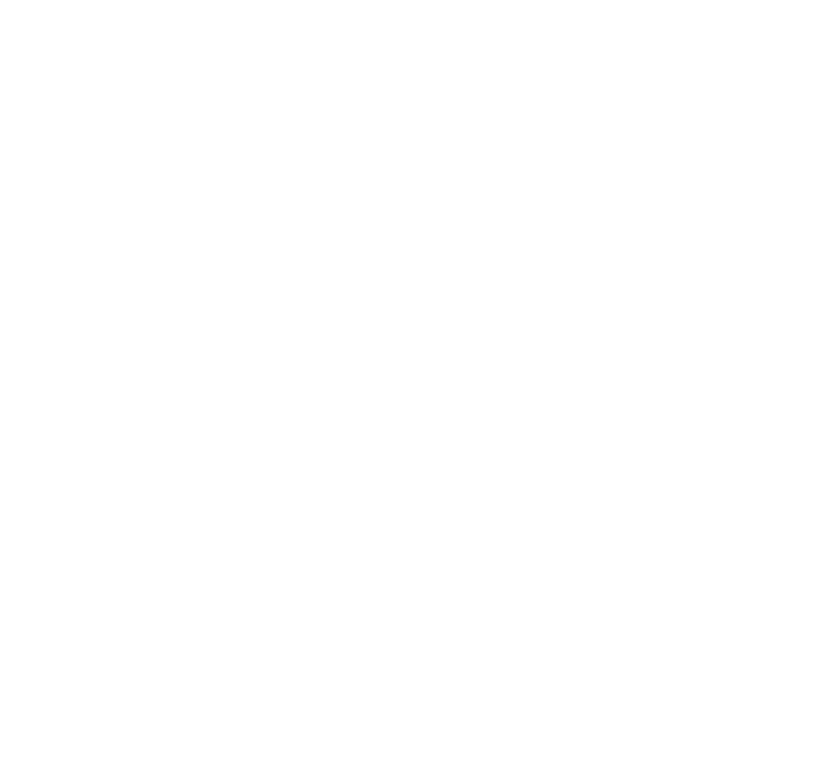 TicoTrip