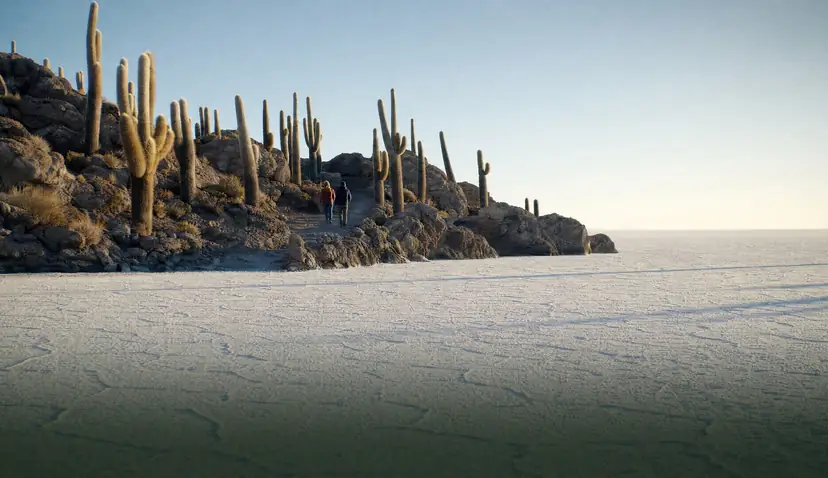 Cactus gigantes de la Isla Incahuasi en el Salar de Uyuni